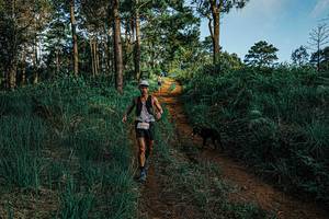 BIB: 
                            <button type="button" onclick="openModal(25654596)" class="btn btn-primary btn-sm float-right btn-popup" data-toggle="modal" data-target=".modal-high-quality">
                        <i class="fas fa-shopping-cart"></i> Add to Cart
                    </button>
                                            <button type="button" onclick="isThisMe(25654596, true)" class="btn btn-success btn-sm float-right btn-popup btn-isme hidden" data-toggle="tooltip" data-placement="bottom" title="นี่คือรูปของคุณใช่ไหม คลิกที่นี่เพื่อเอาเข้าอัลบั้ม">
                        <i class="fas fa-plus"></i> Add to album
                    </button>
                    <button type="button" onclick="isThisMe(25654596, false)" class="btn btn-warning btn-sm float-right btn-popup btn-isnotme hidden">
                        <i class="fas fa-ban"></i> Remove from album
                    </button>